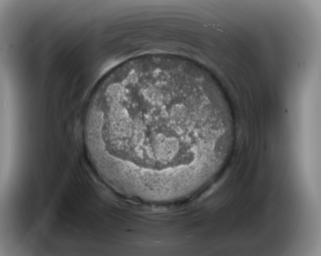 X0000083981505200703091813