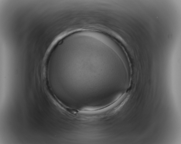 X0000083981506200703091813