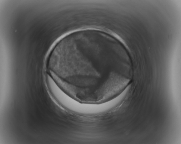 X0000083981508200703091813