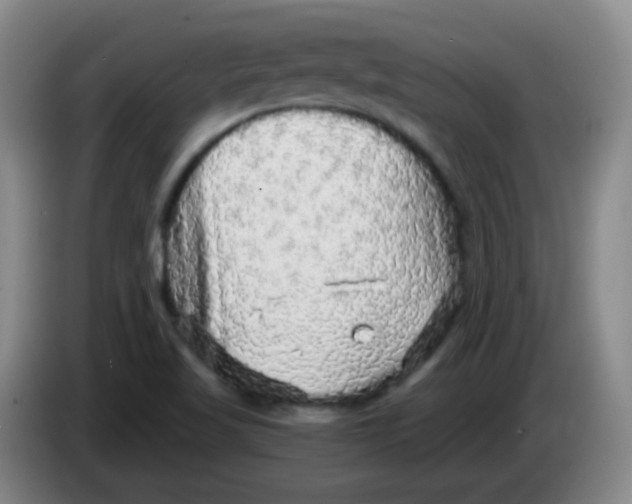 X0000083981509200703091813