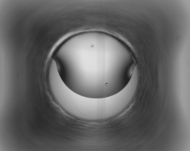 X0000083981510200703091813