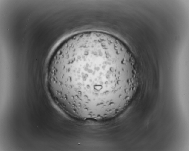 X0000083981511200703091813