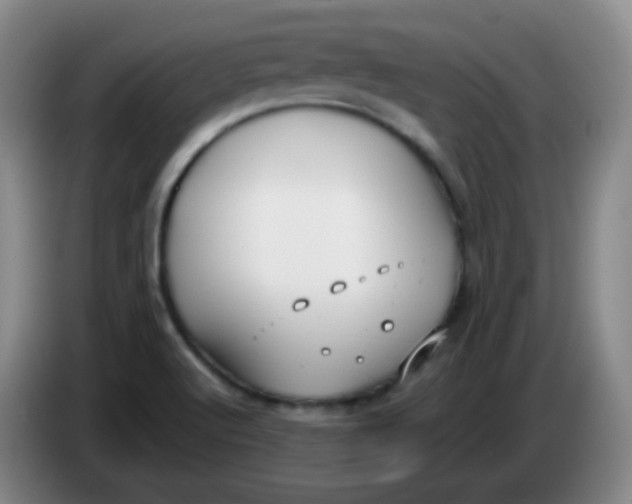 X0000083981512200703091813