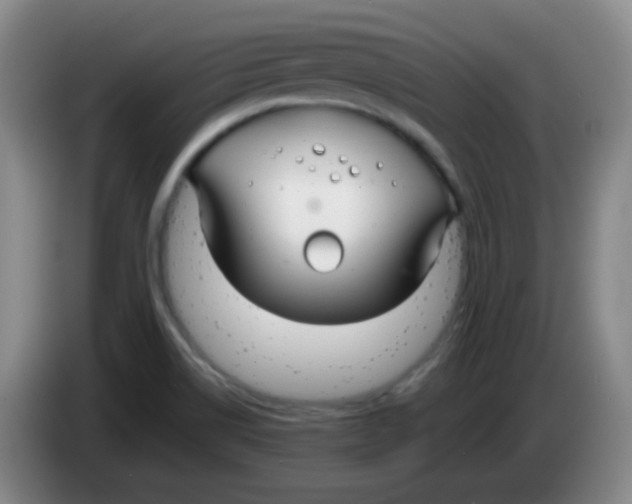 X0000083981514200703091813