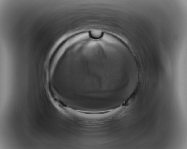 X0000083981515200703091813