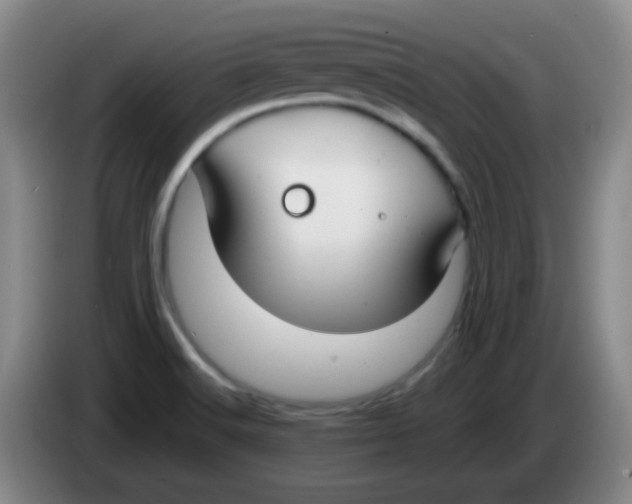 X0000083981516200703091813