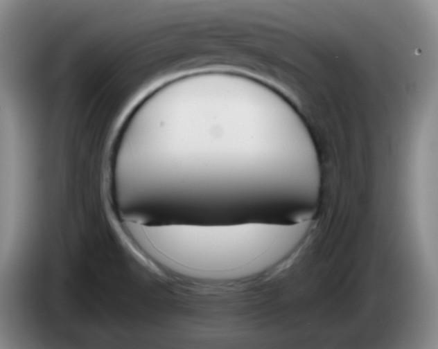 X0000083981518200703091813