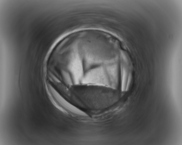 X0000083981519200703091813