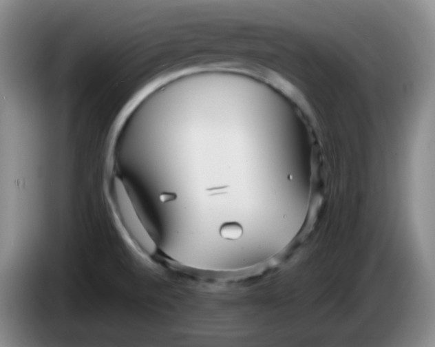 X0000083981520200703091813