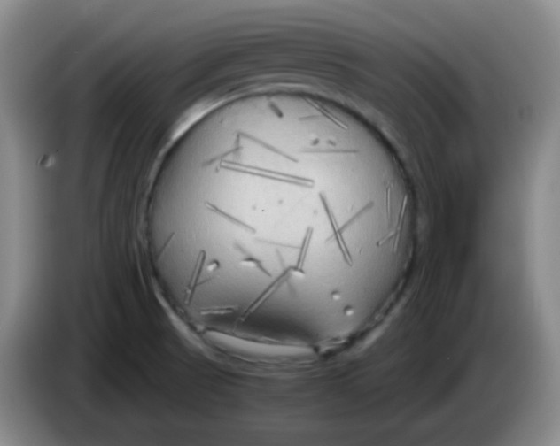 X0000083981521200703091813