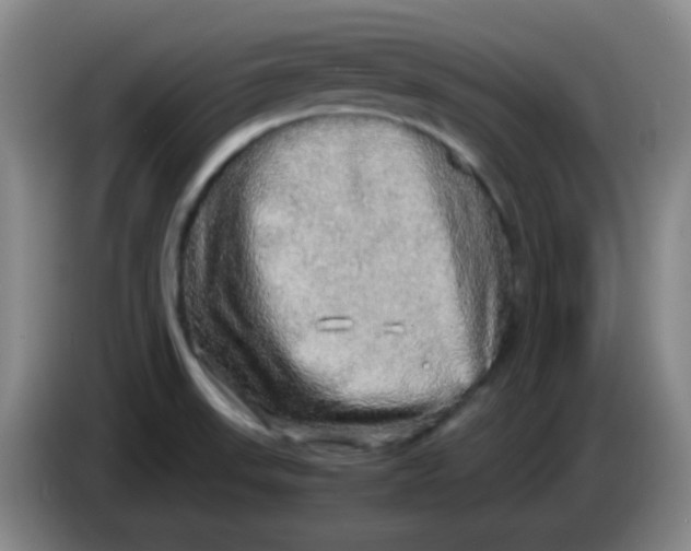 X0000083981523200703091813