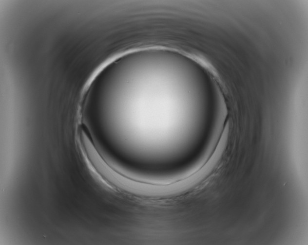 X0000083981524200703091813