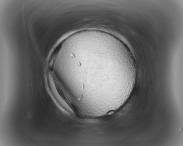 X0000083981525200703091813