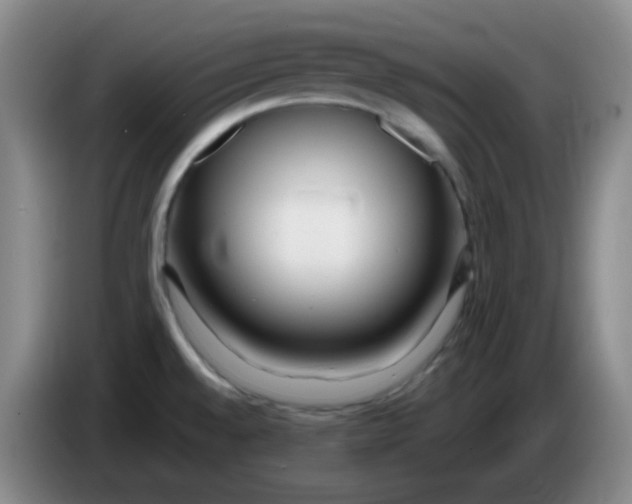 X0000083981528200703091813