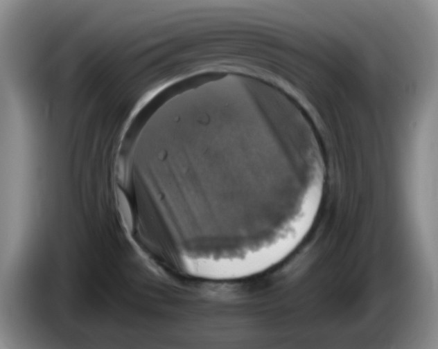 X0000083981529200703091813