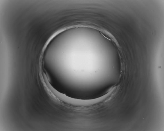 X0000083981530200703091813