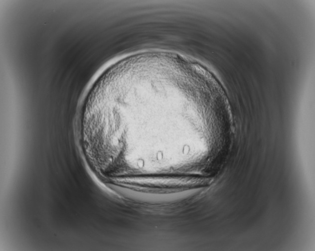 X0000083981531200703091813