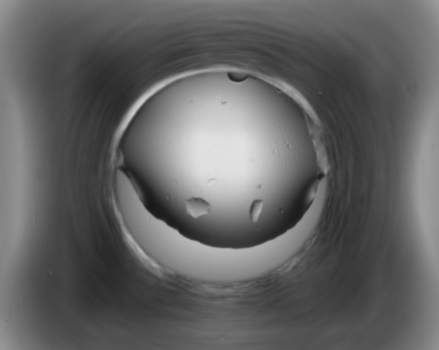 X0000083981532200703091813