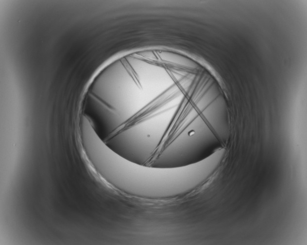 X0000083981534200703091813