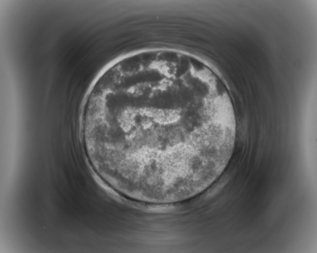 X0000083981535200703091813