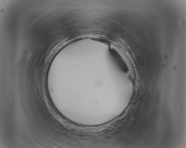 X0000083980001200703161609