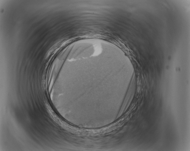 X0000083980002200703161609