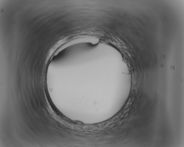 X0000083980003200703161609