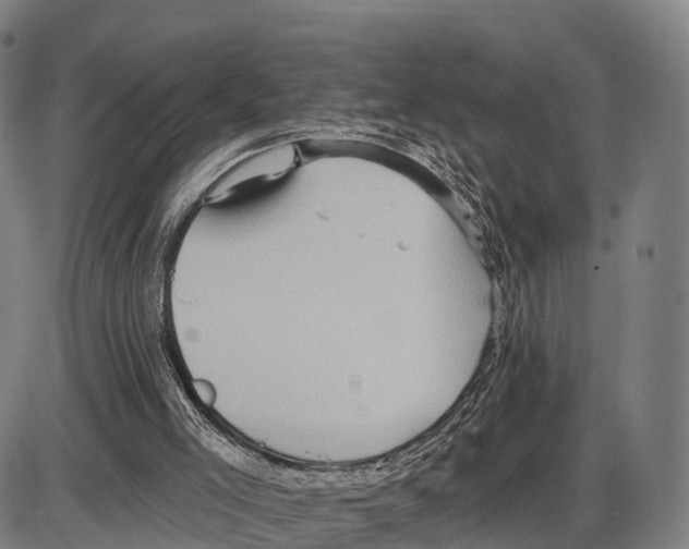 X0000083980005200703161609