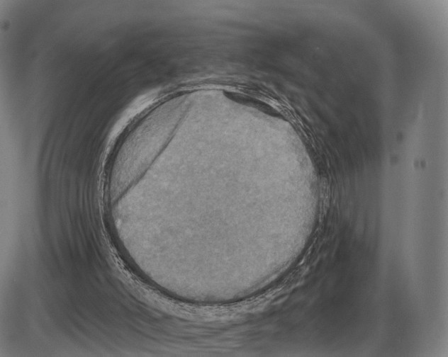 X0000083980006200703161609