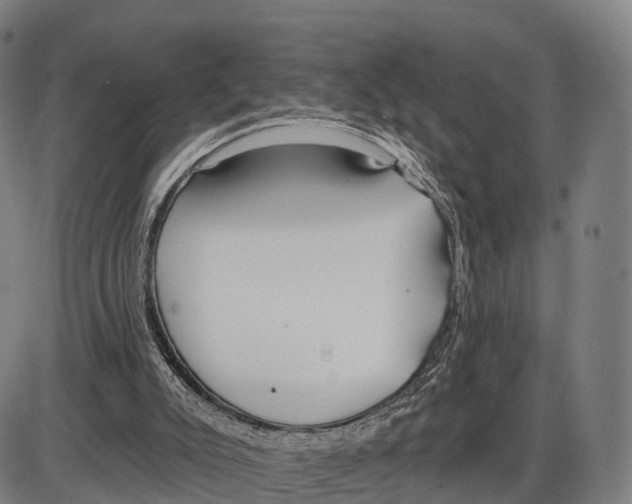 X0000083980007200703161609