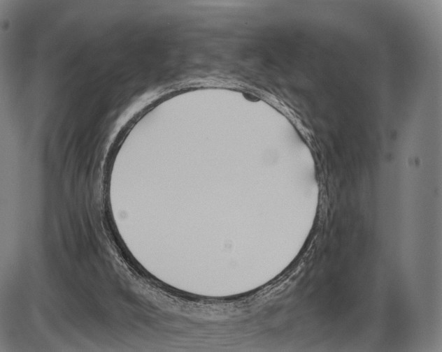 X0000083980008200703161609