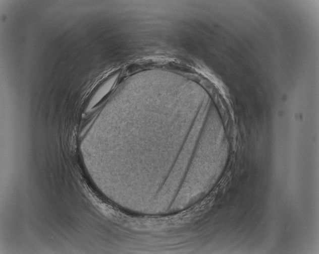 X0000083980009200703161609