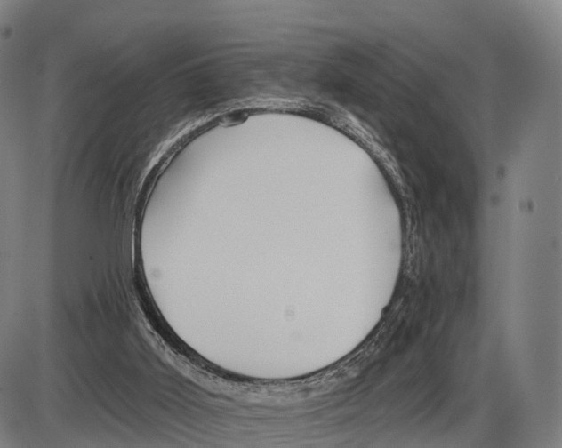 X0000083980011200703161609