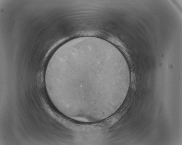 X0000083980012200703161609