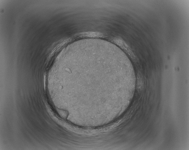 X0000083980014200703161609