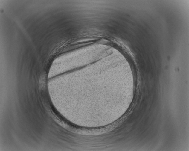 X0000083980017200703161609