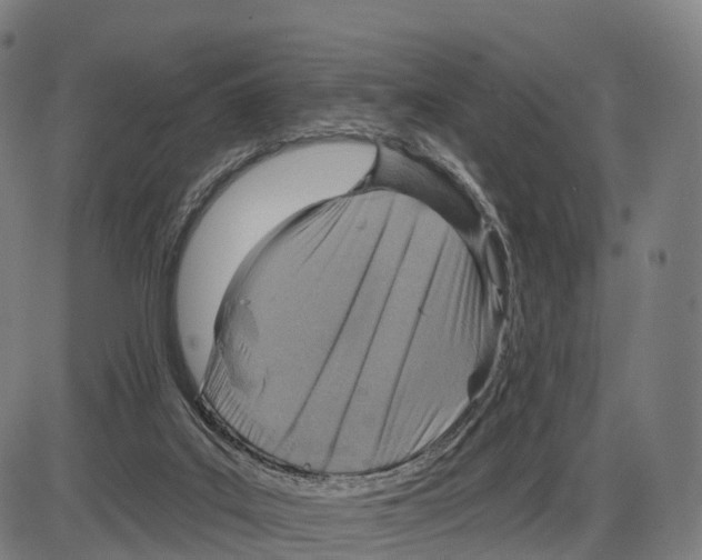 X0000083980019200703161609