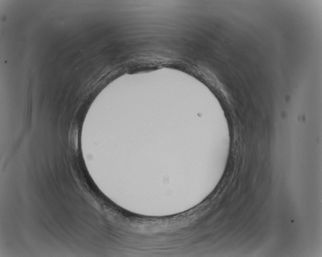 X0000083980021200703161609