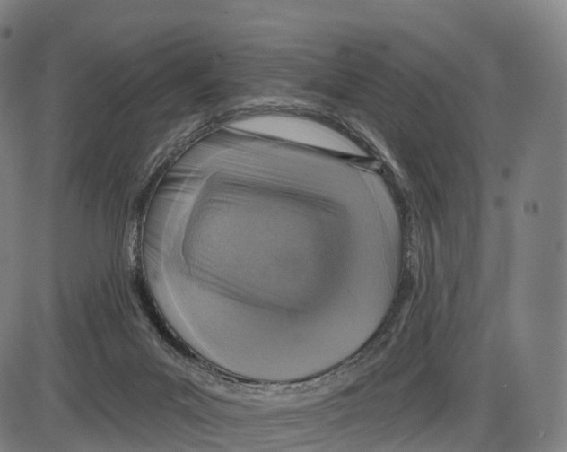 X0000083980023200703161609