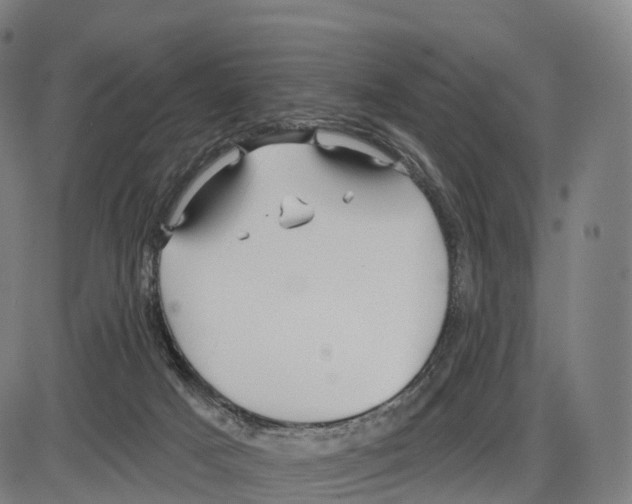 X0000083980025200703161609