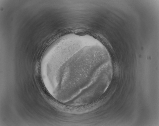 X0000083980026200703161609