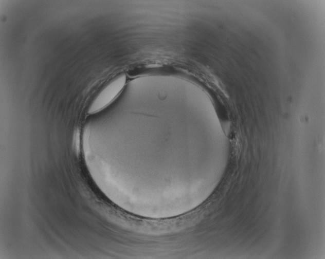 X0000083980027200703161609