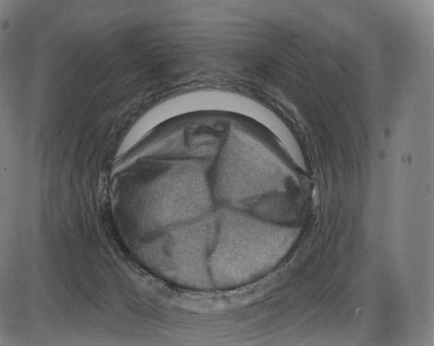 X0000083980029200703161608