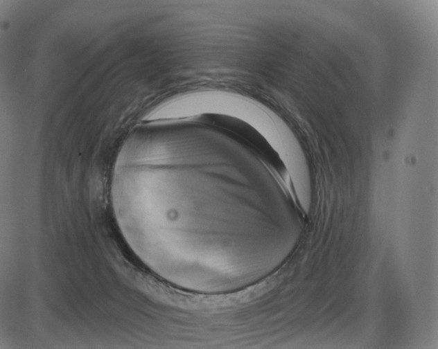 X0000083980031200703161608