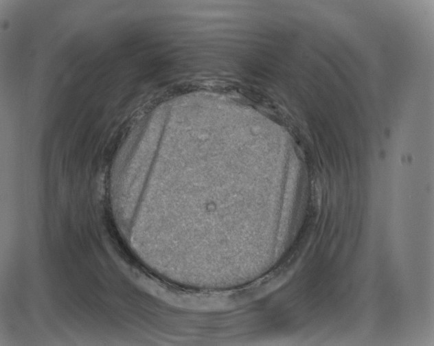 X0000083980032200703161608