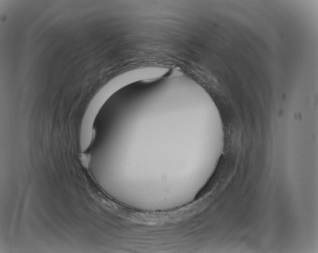 X0000083980033200703161608