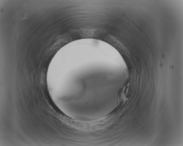 X0000083980035200703161608