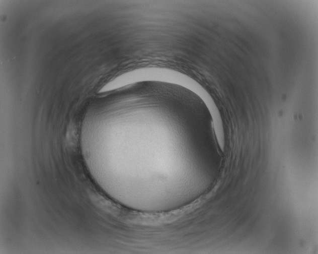 X0000083980037200703161608