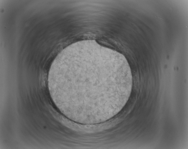 X0000083980038200703161608