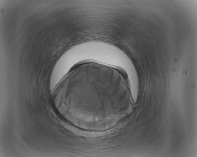 X0000083980039200703161608